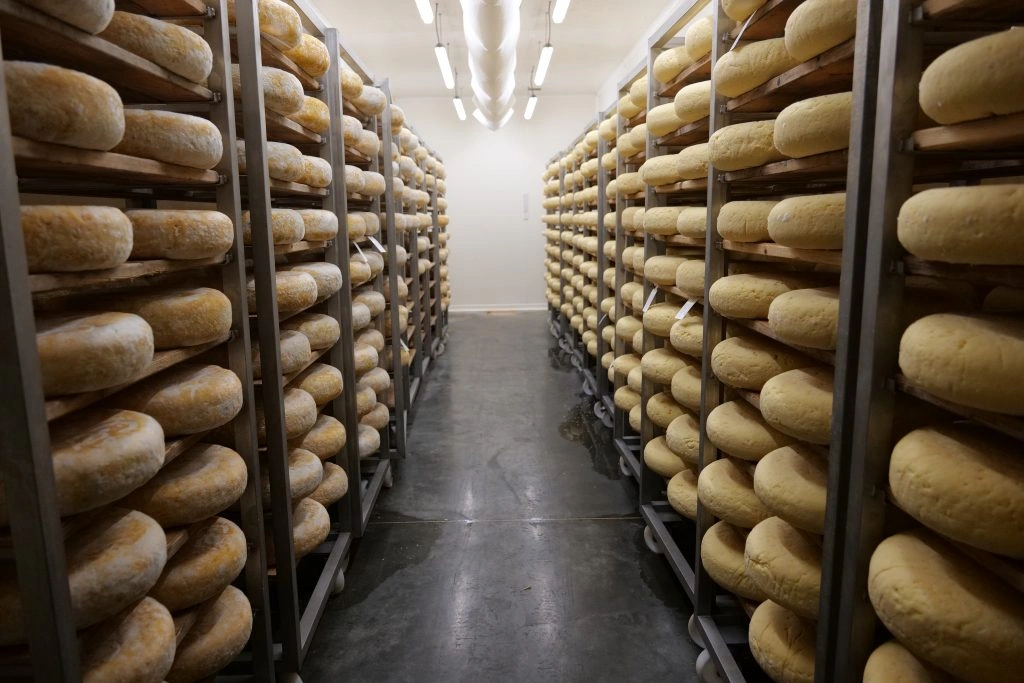Cave à fromage et cave d'affinage